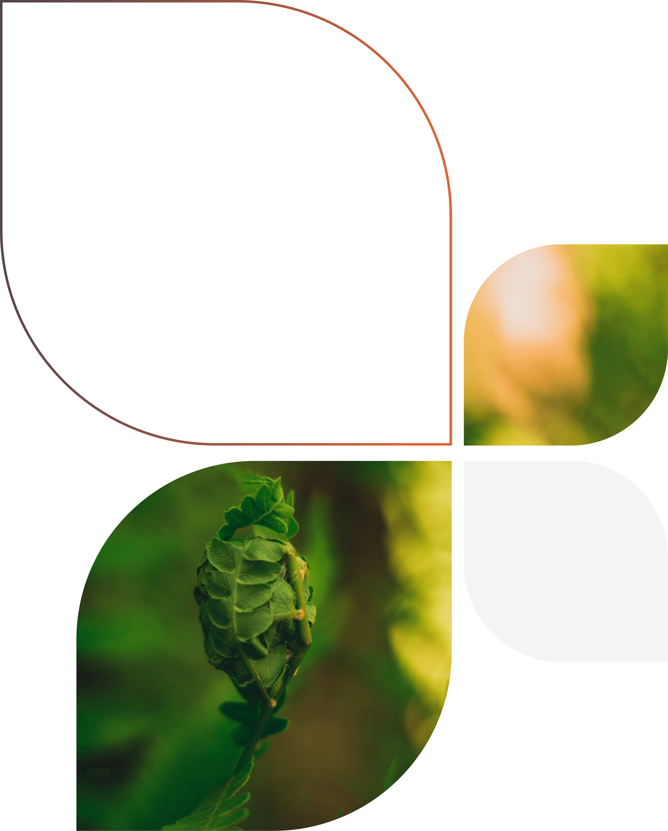 bilancio